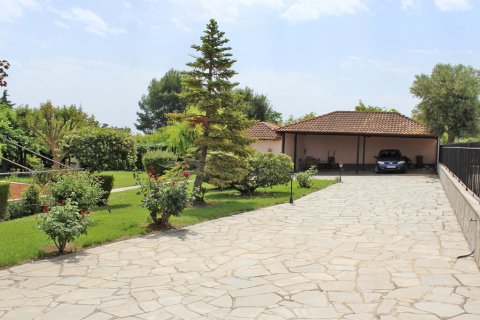 3 chambres House à Litochoro, Greece No. 54576 25