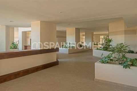 2 chambres Penthouse à Marbella, Spain No. 26892 12