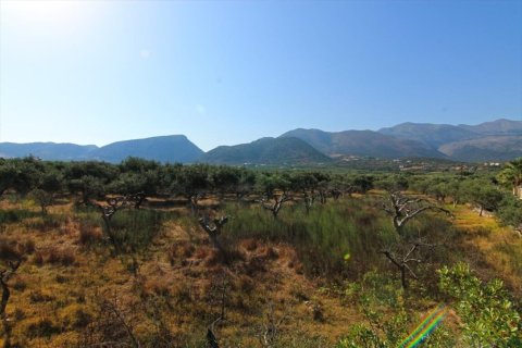 5500m² Land en Agios Nikolaos, Greece No. 55942 5