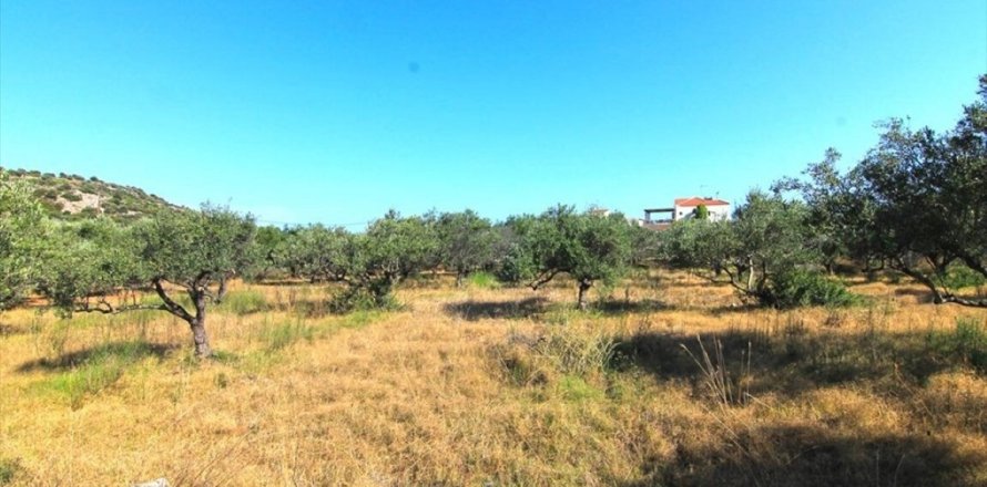 5500m² Land à Agios Nikolaos, Greece No. 55942