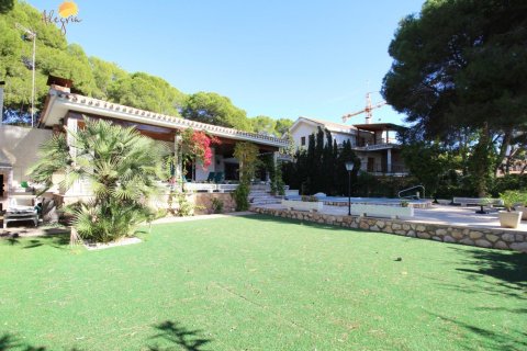 6 bedrooms Villa in Campoamor, Spain No. 25536 1