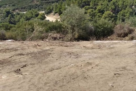 11688m² Land à Chalkidiki, Greece No. 55244 8