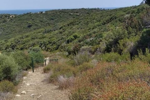 11688m² Land en Chalkidiki, Greece No. 55244 4