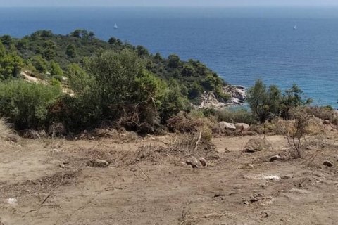 11688m² Land à Chalkidiki, Greece No. 55244 7