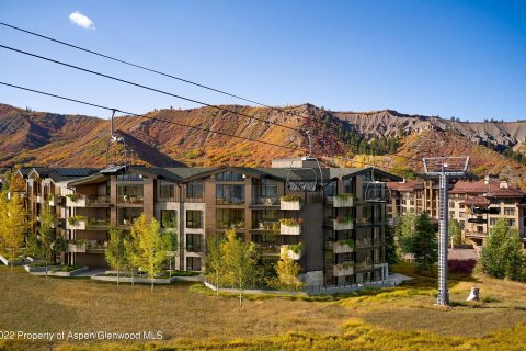 4 chambres Copropriété  à Snowmass Village, USA No. 62201 8