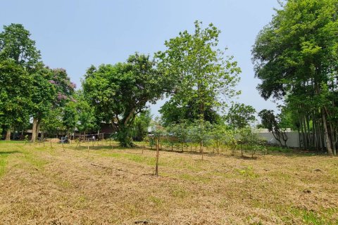 Land in Chiang Mai, Thailand No. 2462 23