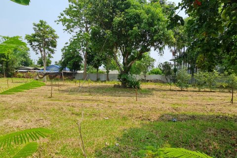 Land in Chiang Mai, Thailand No. 2462 13