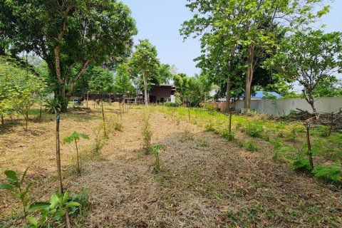 Land in Chiang Mai, Thailand No. 2462 22