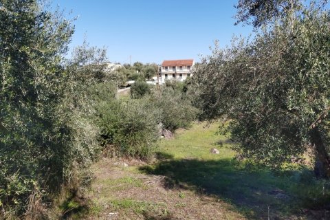 6500m² Land in Corfu, Greece No. 55900 8