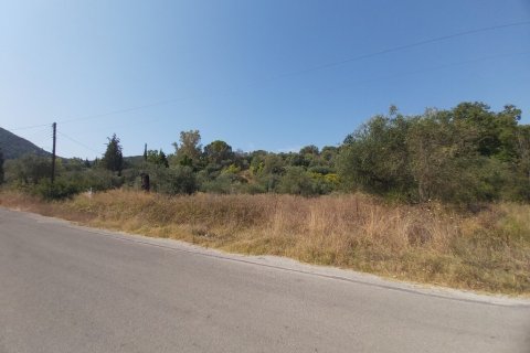 6500m² Land en Corfu, Greece No. 55900 14