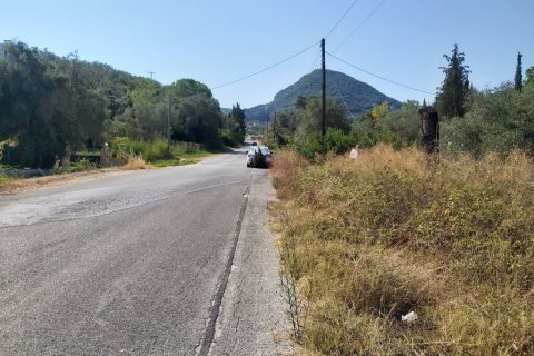 6500m² Land en Corfu, Greece No. 55900 15