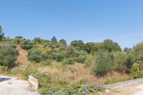 6500m² Land à Corfu, Greece No. 55900 4