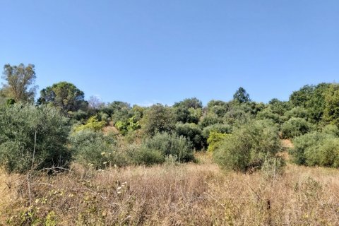 6500m² Land à Corfu, Greece No. 55900 3