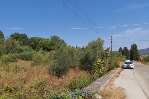 6500m² Land en Corfu, Greece No. 55900 5