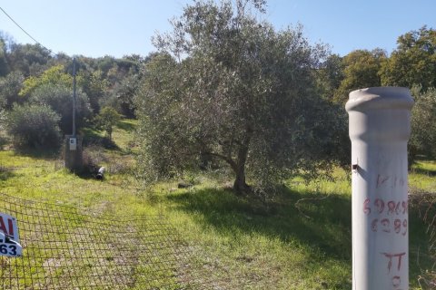 6500m² Land en Corfu, Greece No. 55900 18