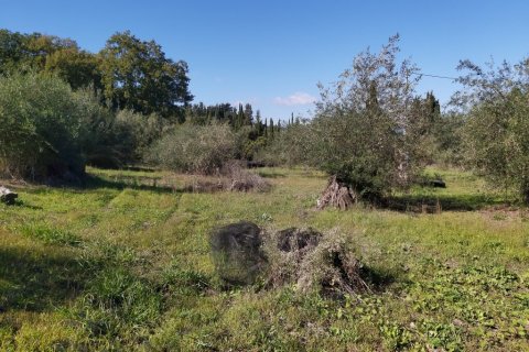 6500m² Land in Corfu, Greece No. 55900 13