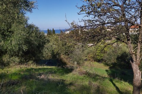 6500m² Land in Corfu, Greece No. 55900 11