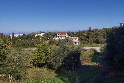 6500m² Land in Corfu, Greece No. 55900 10