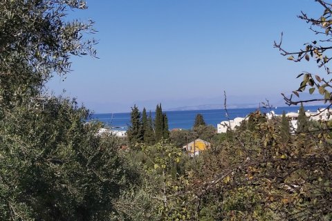 6500m² Land en Corfu, Greece No. 55900 1