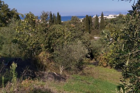 6500m² Land à Corfu, Greece No. 55900 2