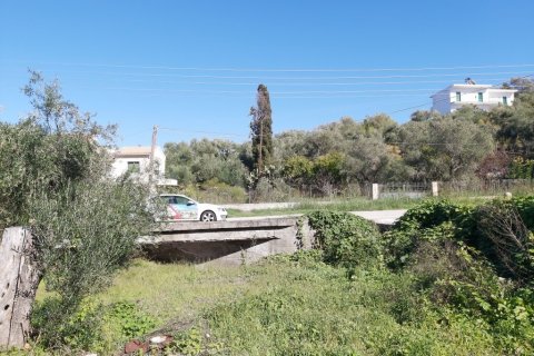 6500m² Land in Corfu, Greece No. 55900 16