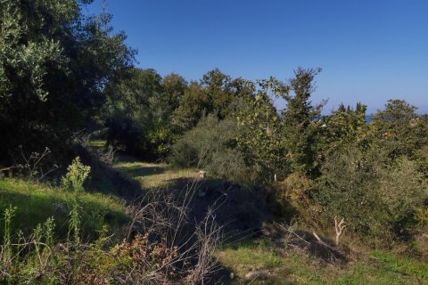 6500m² Land in Corfu, Greece No. 55900 12