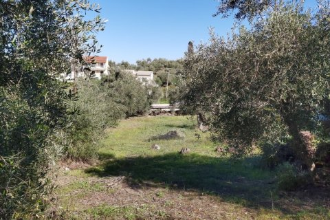 6500m² Land in Corfu, Greece No. 55900 9