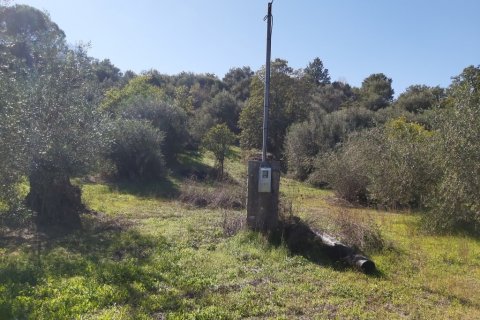 6500m² Land in Corfu, Greece No. 55900 7