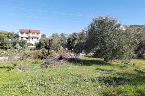 6500m² Land en Corfu, Greece No. 55900 6