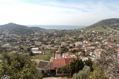 8000m² Land in Kalyvia Thorikou, Greece No. 58916 1