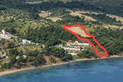 10170m² Land in Chalkidiki, Greece No. 58914 3