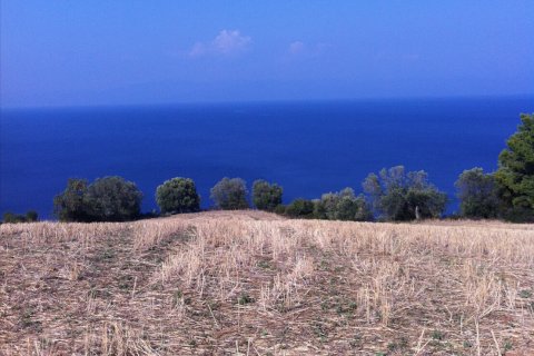 10170m² Land in Chalkidiki, Greece No. 58914 2