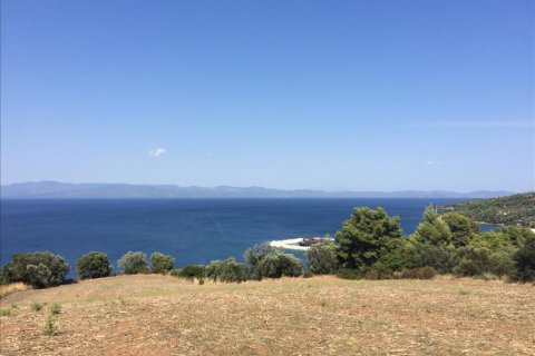 10170m² Land in Chalkidiki, Greece No. 58914 1