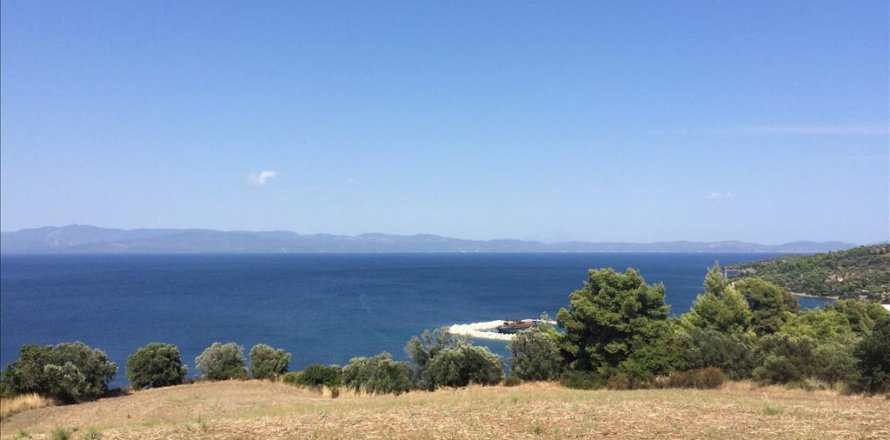 10170m² Land in Chalkidiki, Greece No. 58914