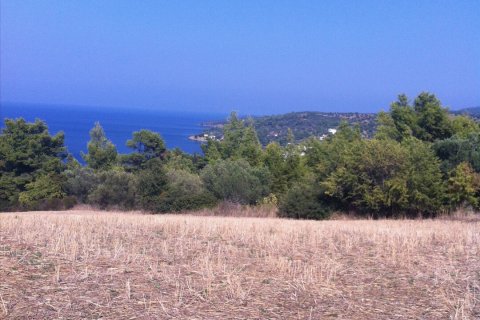 10170m² Land à Chalkidiki, Greece No. 58914 4