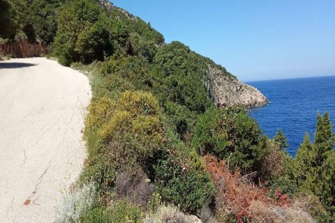 Land en Zakynthos, Greece No. 28118 11