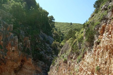 Land à Zakynthos, Greece No. 28118 8