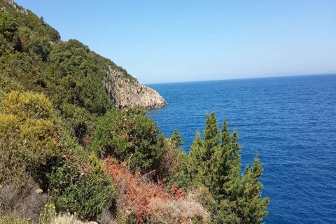 Land in Zakynthos, Greece No. 28118 4