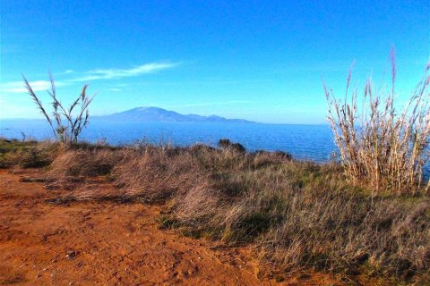 Land en Zakynthos, Greece No. 28117 8