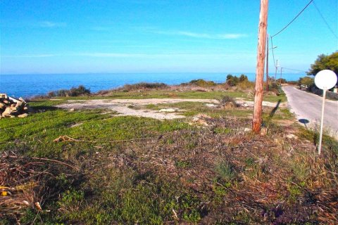 Land en Zakynthos, Greece No. 28117 3