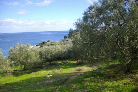 Land in Zakynthos, Greece No. 28119 2