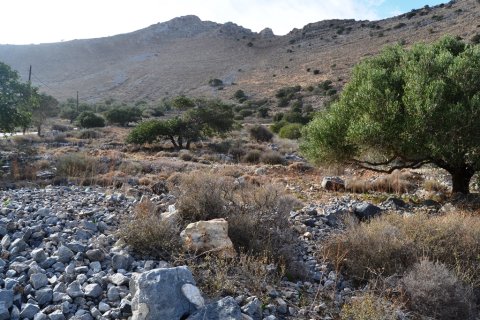 4000m² Land en Agios Nikolaos, Greece No. 57786 3