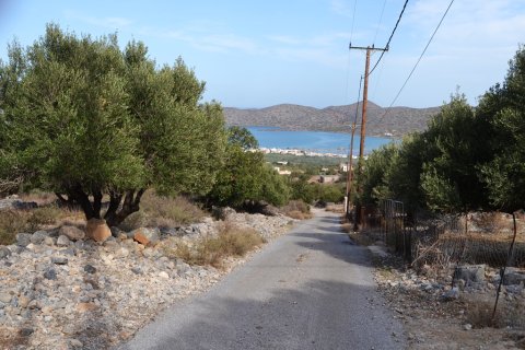 4000m² Land à Agios Nikolaos, Greece No. 57786 2