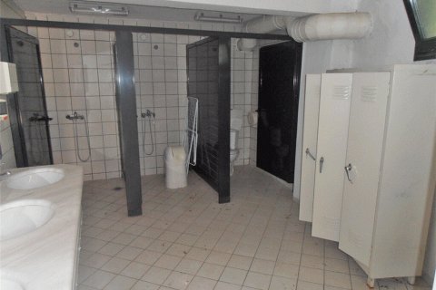 Коммерческая недвижимость 4600м² в Пиерия, Греция №48947 11