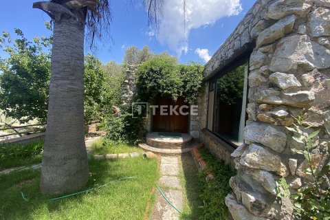 12+5 Villa in Bodrum, Turkey No. 17803 7