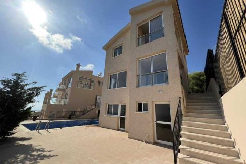 5 bedrooms Villa in Pegeia, Cyprus No. 39531 5