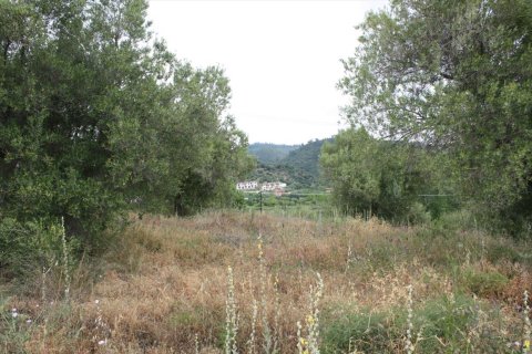 6000m² Land en Chalkidiki, Greece No. 58761 8