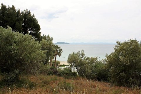 6000m² Land en Chalkidiki, Greece No. 58761 1