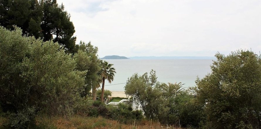 6000m² Land en Chalkidiki, Greece No. 58761