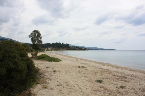 6000m² Land à Chalkidiki, Greece No. 58761 13